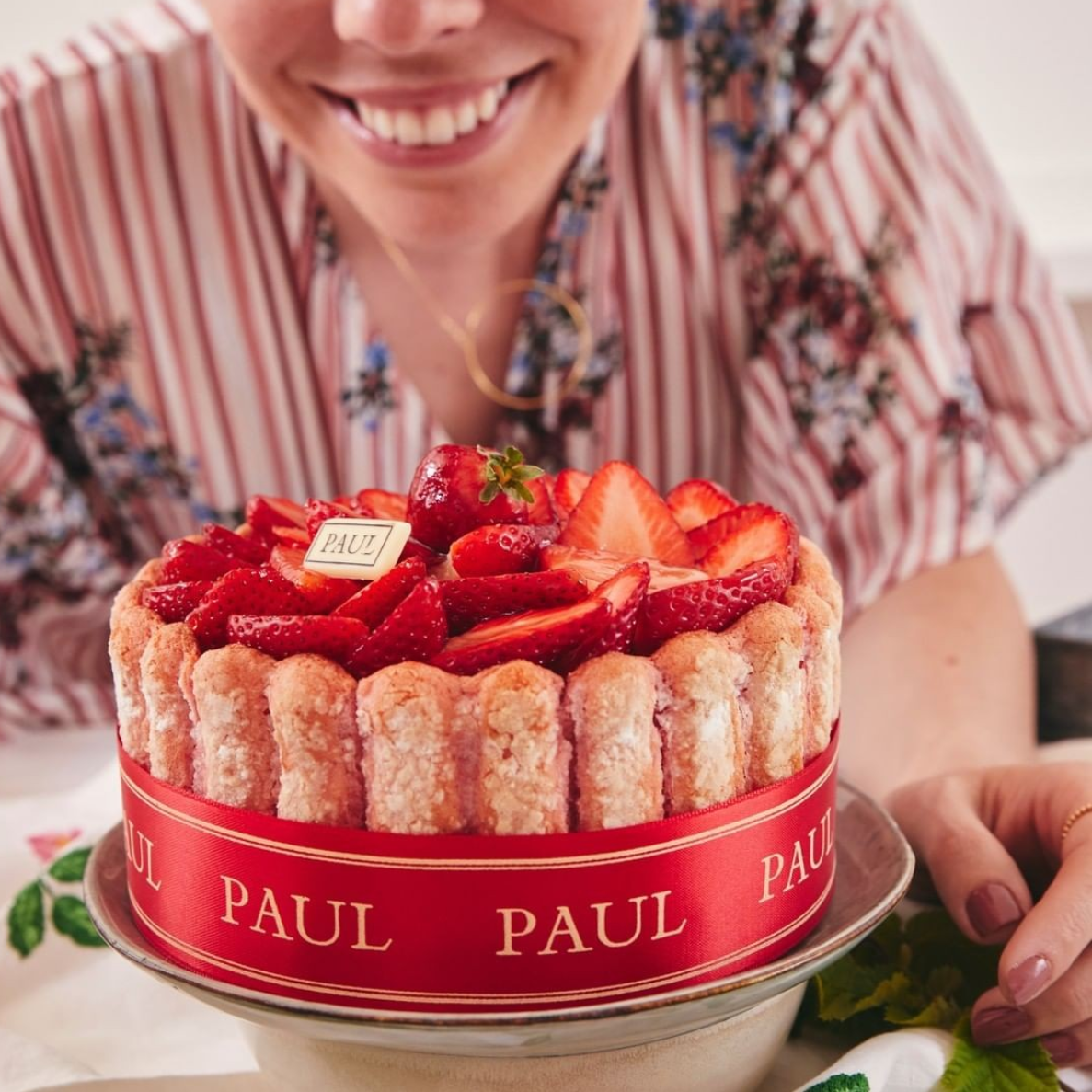 Charlotte fraise vanilla