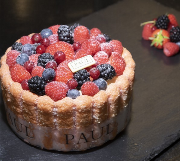 Charlotte Red Fruite